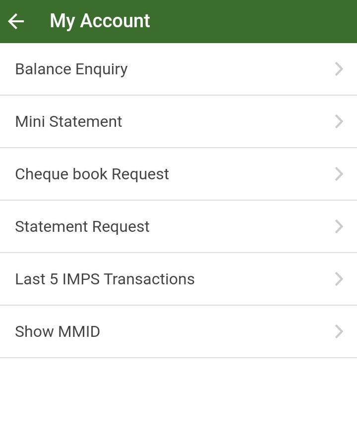 balance enquiry mini statement request screen